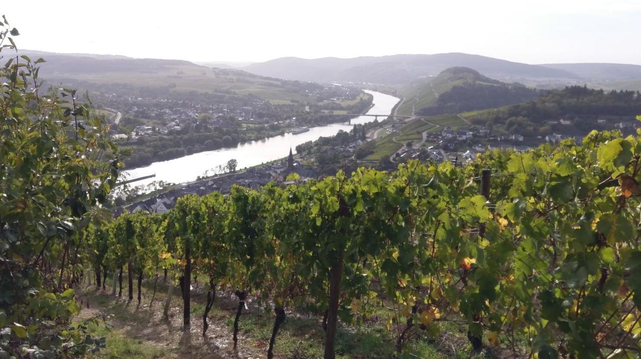 Fewo Sonnenlay - Apartments An Der Mosel Brauneberg Eksteriør billede