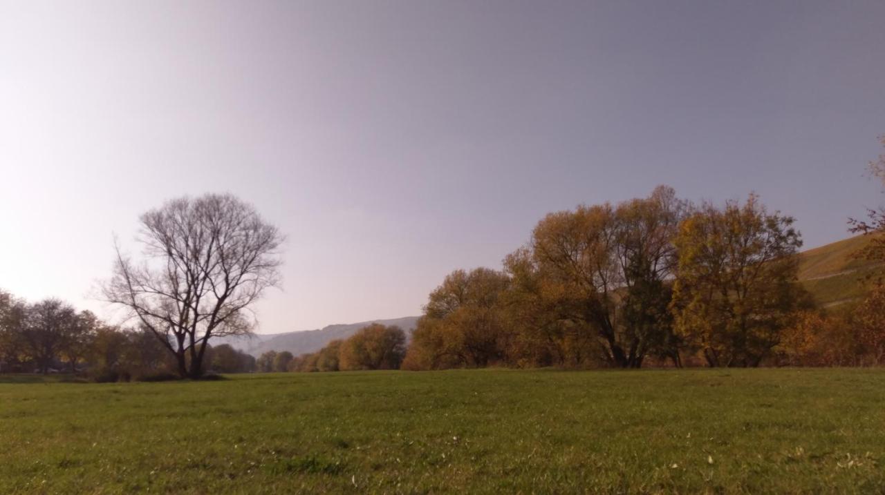 Fewo Sonnenlay - Apartments An Der Mosel Brauneberg Eksteriør billede