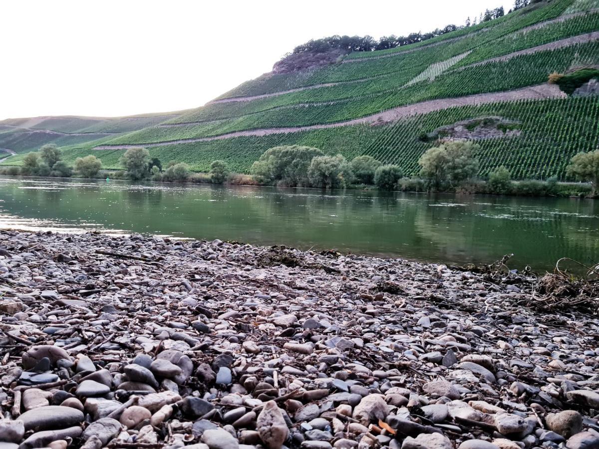 Fewo Sonnenlay - Apartments An Der Mosel Brauneberg Eksteriør billede