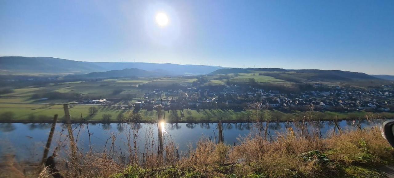 Fewo Sonnenlay - Apartments An Der Mosel Brauneberg Eksteriør billede