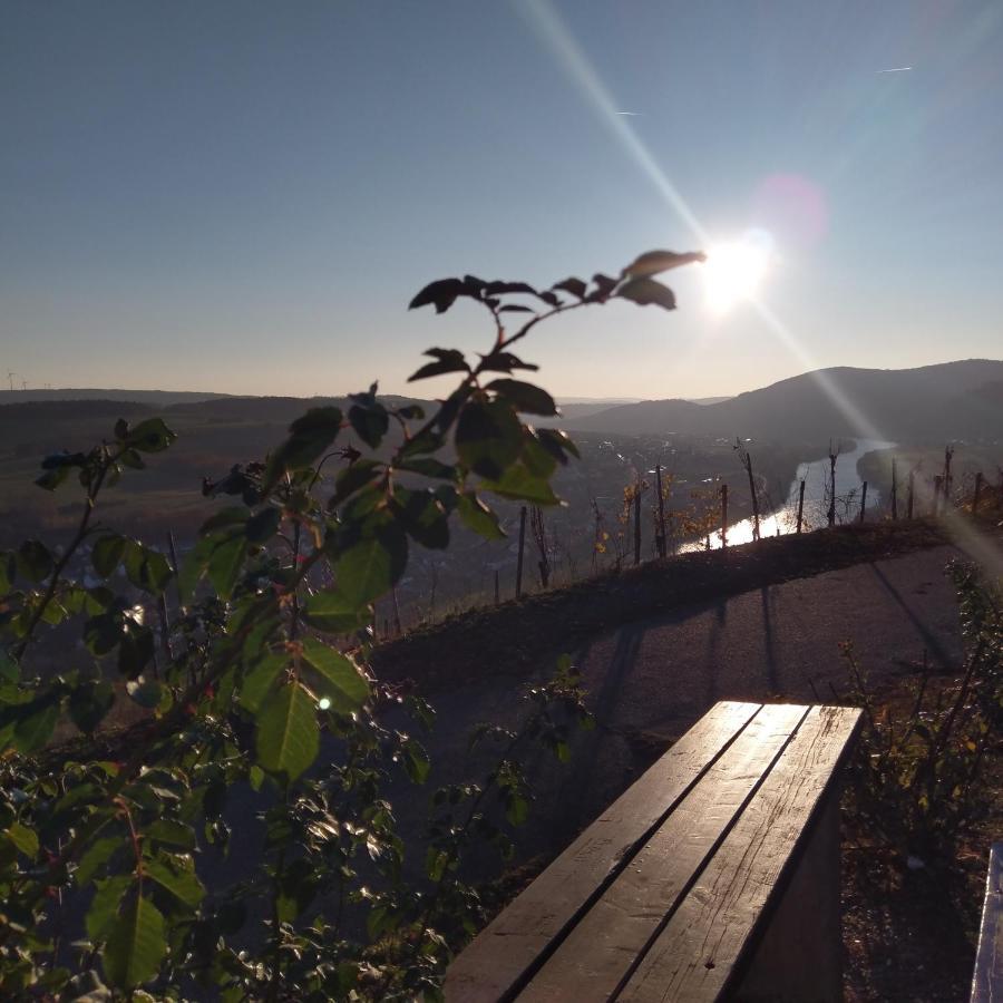 Fewo Sonnenlay - Apartments An Der Mosel Brauneberg Eksteriør billede