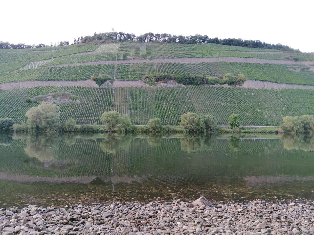 Fewo Sonnenlay - Apartments An Der Mosel Brauneberg Eksteriør billede