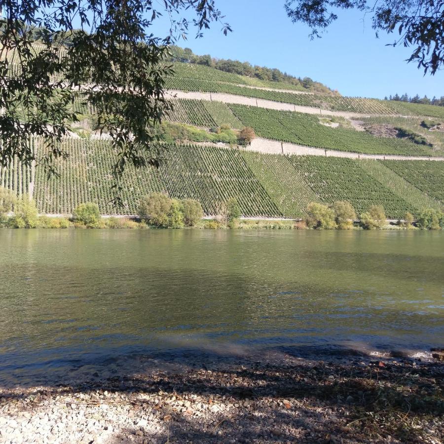 Fewo Sonnenlay - Apartments An Der Mosel Brauneberg Eksteriør billede