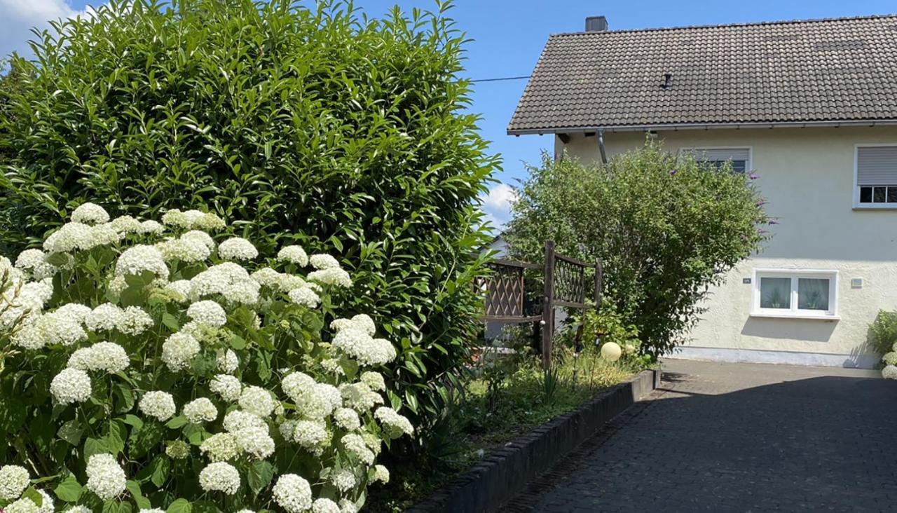 Fewo Sonnenlay - Apartments An Der Mosel Brauneberg Eksteriør billede