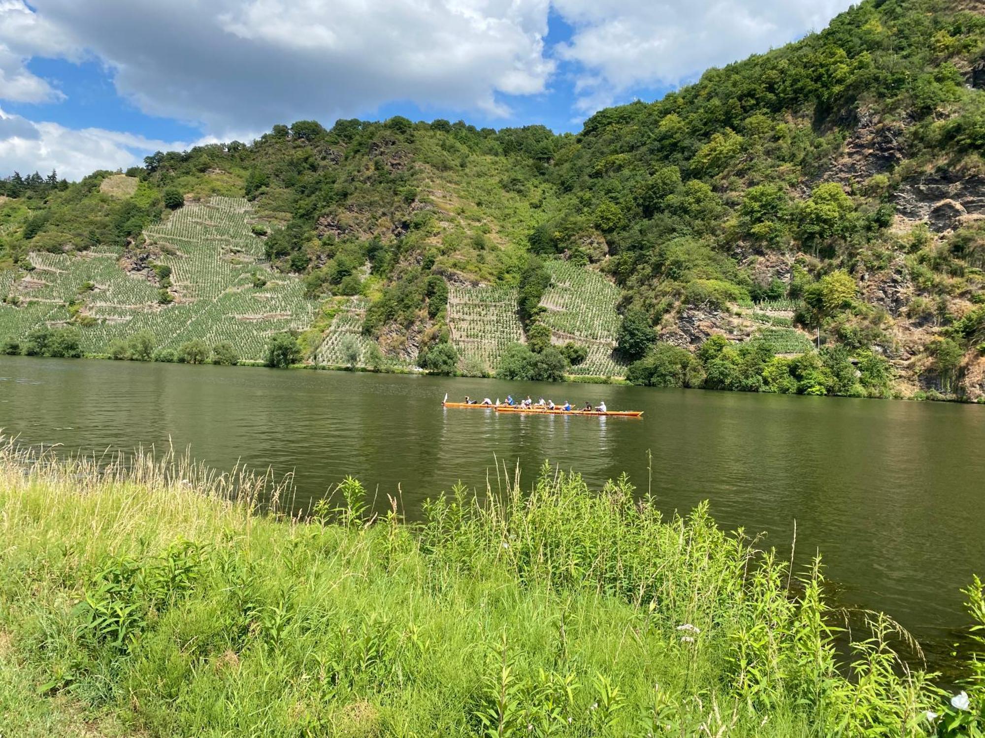 Fewo Sonnenlay - Apartments An Der Mosel Brauneberg Eksteriør billede